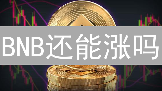 BNB还能涨吗？深度剖析币安币未来价值与潜力！