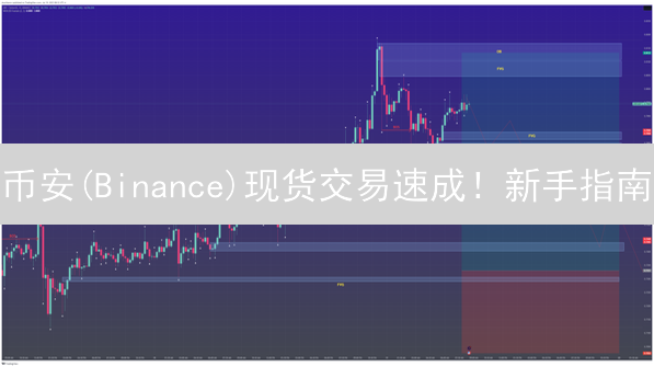 币安(Binance)现货交易速成！新手指南：从入门到精通，你也能轻松下单！